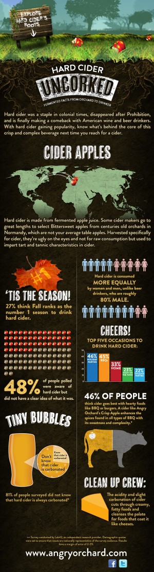 A World of Cider – Infographic