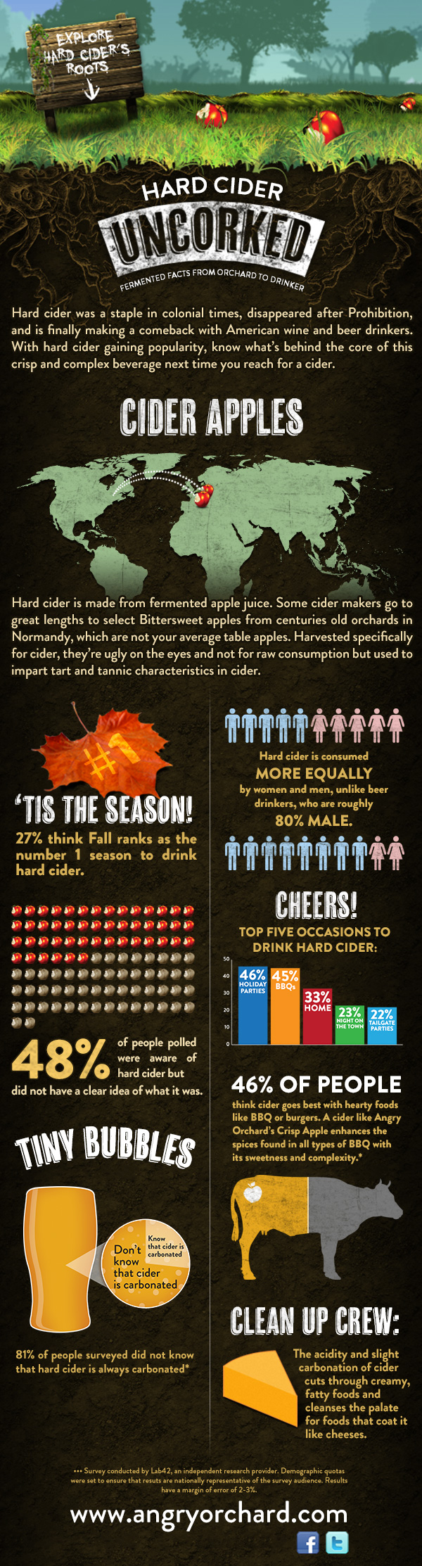 A World of Cider – Infographic
