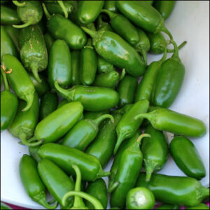 Tips for Spicing Up Your Margarita