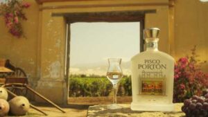 Pisco Portón Review