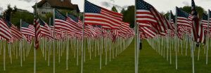 Memorial Day Food & Drink Recipes