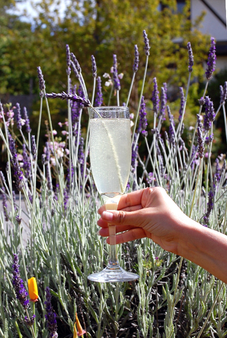 Lemon Lavender Cocktail