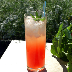 Watermelon Mojito