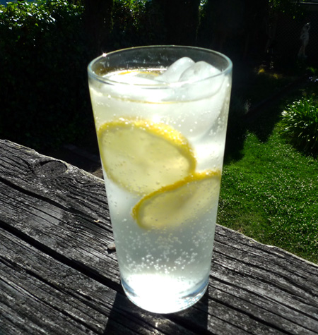 Elderflower Sipper