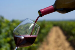 Fearing French Wine