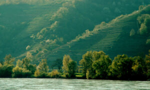Gruner or Chianti – High/Low Wine Weekend