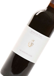 Saladini Pilastri 2009 Rosso Piceno – Wine Wednesday