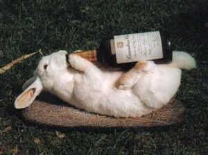 Pork and Pinot – A Perfect Combination For Easter