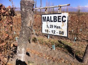 Celebrate Malbec Day!