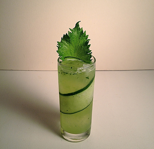 Spring Shiso