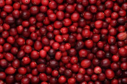 Drunken Cranberry Sauce