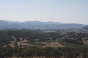 Jordan Estate Tour & Tasting