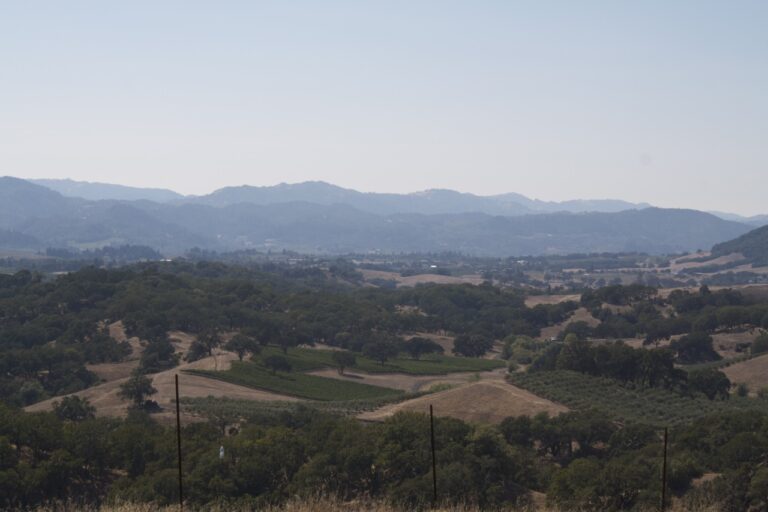 Jordan Estate Tour & Tasting