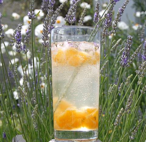 Tequila Tangerine Dream