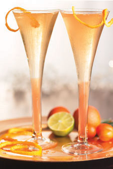 Champagne Cocktail
