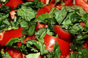 Bruschetta Appetizer