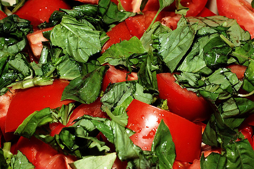 Bruschetta Appetizer