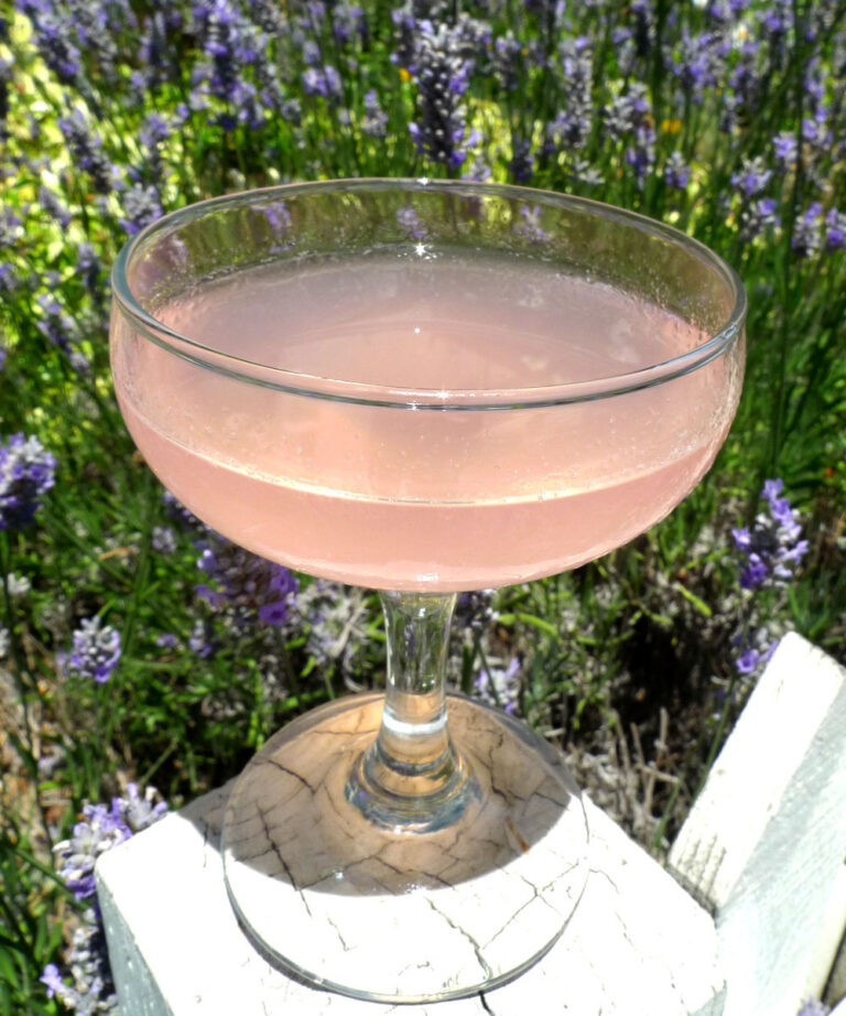 Rhubarb Cosmo