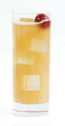 The Whiskey Sour 101